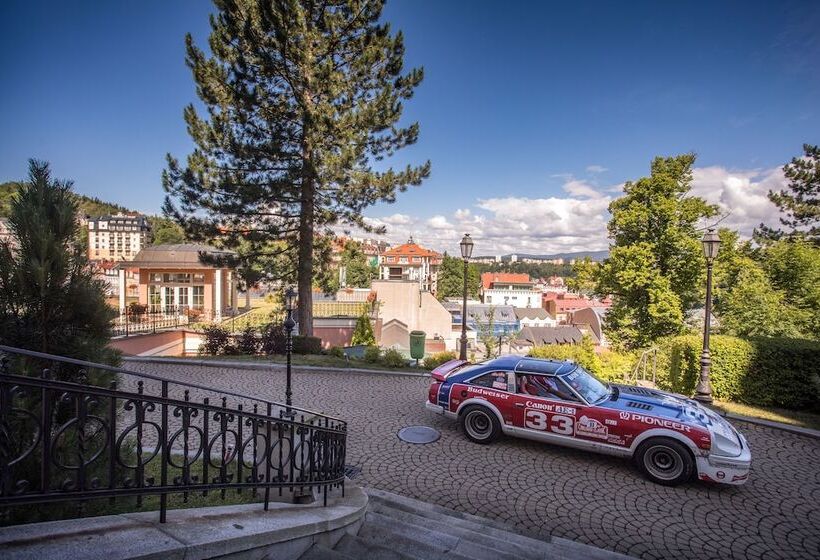 Fotos del hotel Bristol Georgy House:  15