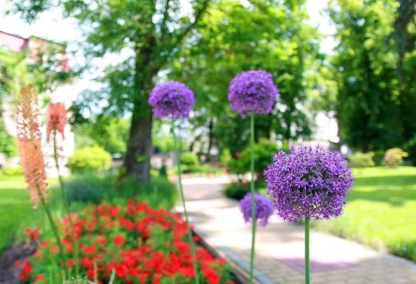 Fotos del hotel Bristol Georgy House:  14