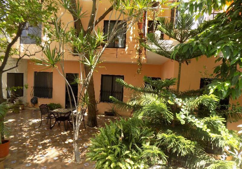 Fotos del hotel Casa Carmita:  5