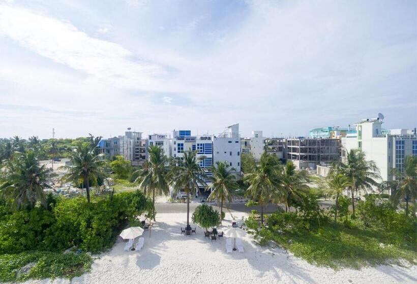 Fotos del hotel The White Harp Beach:  17