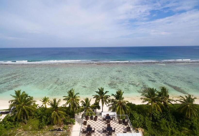 Fotos del hotel The White Harp Beach:  18