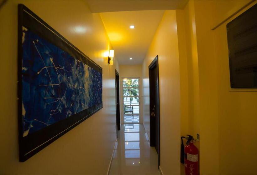 Fotos del hotel The White Harp Beach:  3