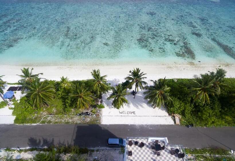 Fotos del hotel The White Harp Beach:  16