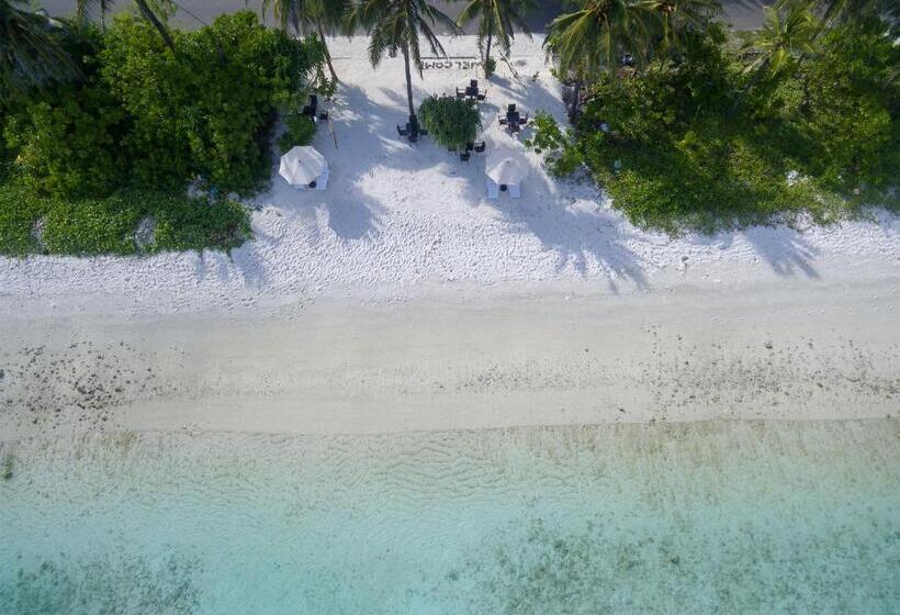 Fotos del hotel The White Harp Beach:  19