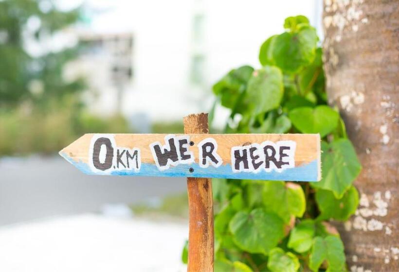 Fotos del hotel The White Harp Beach:  22