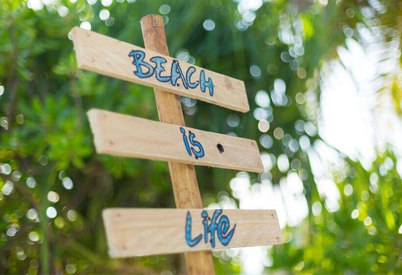 Fotos del hotel The White Harp Beach:  7