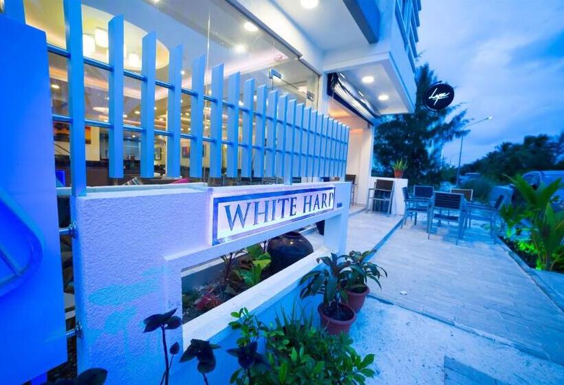 Fotos del hotel The White Harp Beach:  25