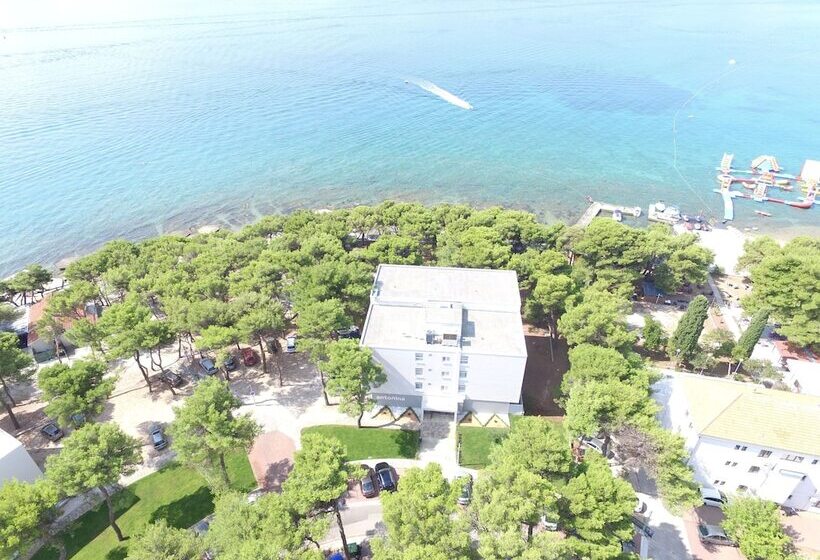 Fotos del hotel Villas Arausana & Antonina:  13