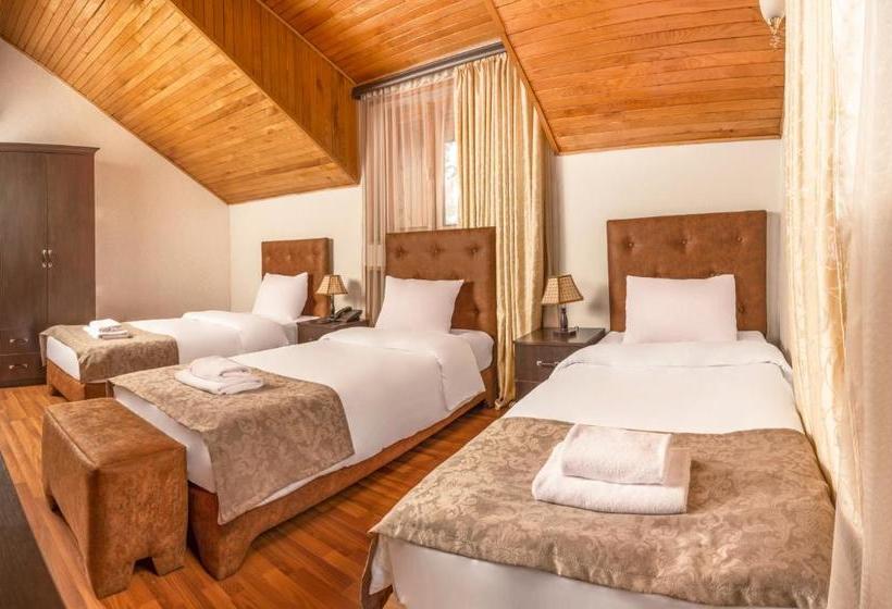 Fotos del hotel Valeria  Tbilisi:  7