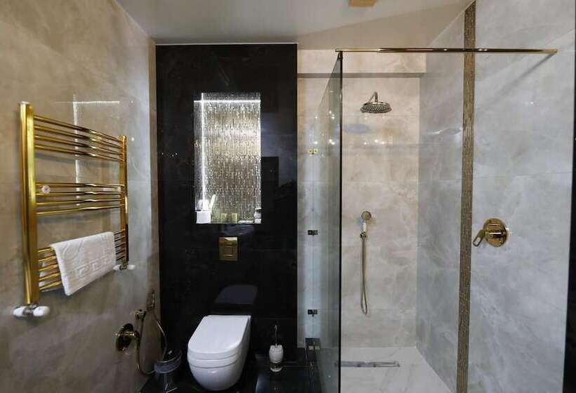 Fotos del hotel Vilton Collection:  17