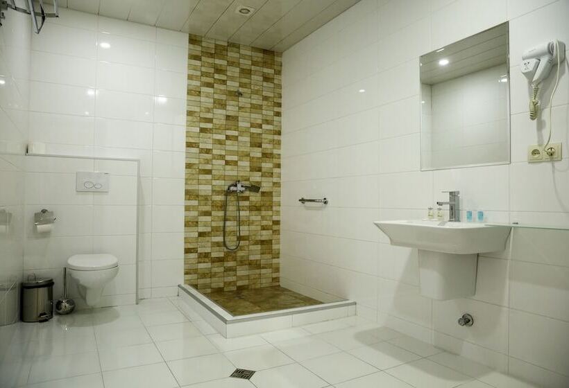 Fotos del hotel Vilton Collection:  20