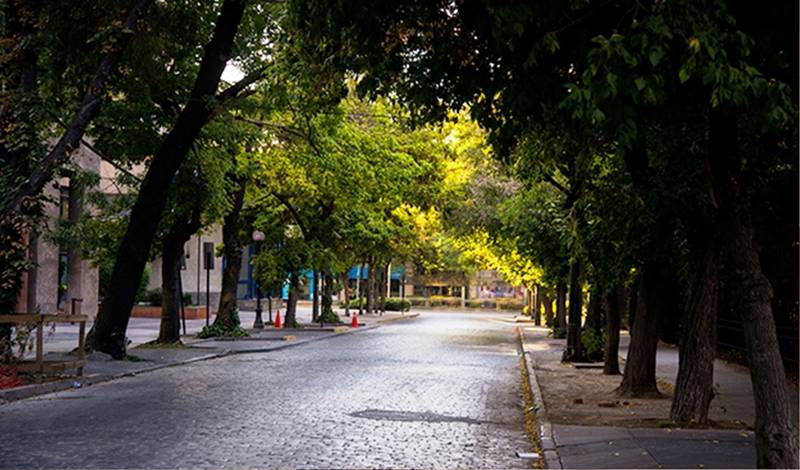 Fotos del hotel Solace Hotel Santiago:  7