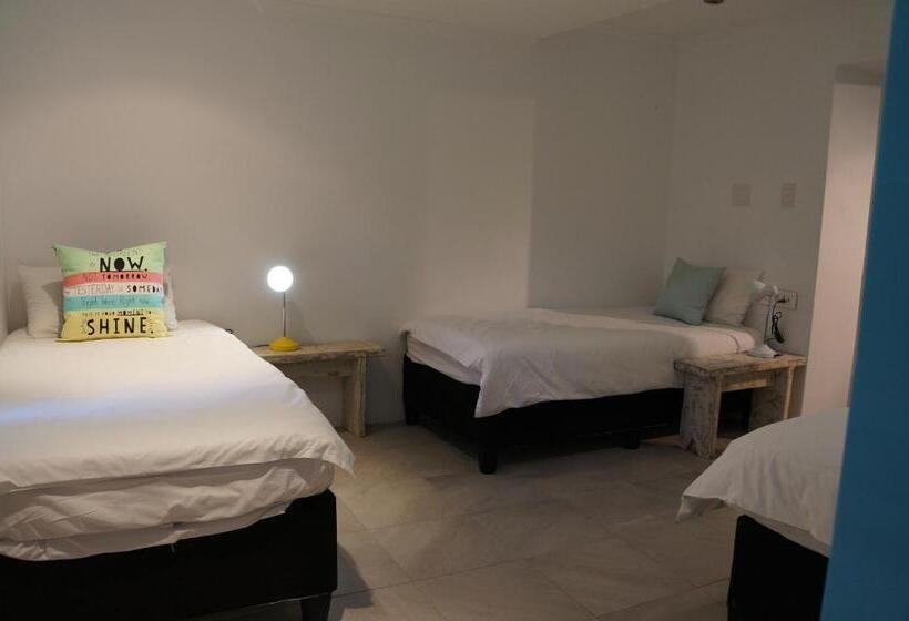 Fotos del hotel Atlantic Point Backpackers:  11