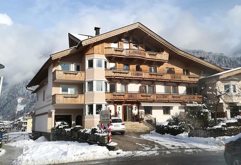 Fotos del hotel Apart Austria:  4