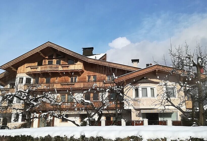 Fotos del hotel Apart Austria:  12