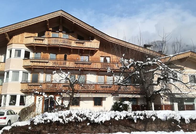 Fotos del hotel Apart Austria:  6