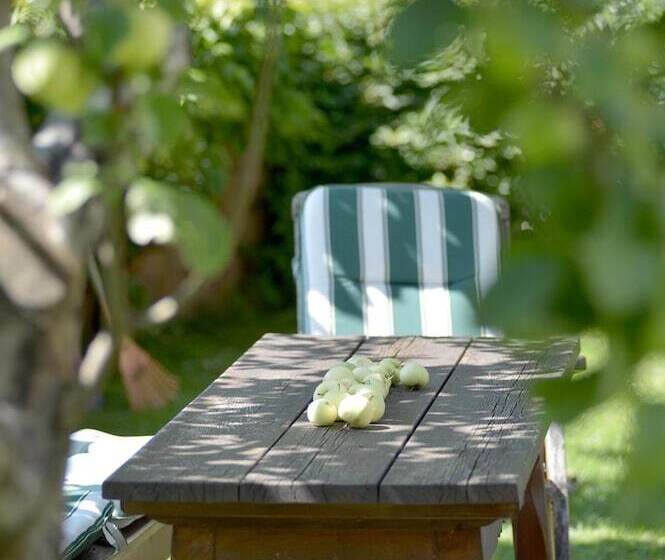 Fotos del hotel Apart Austria:  7