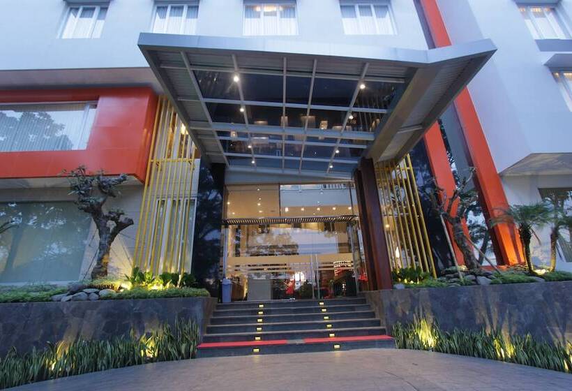 Fotos del hotel Ardan:  14