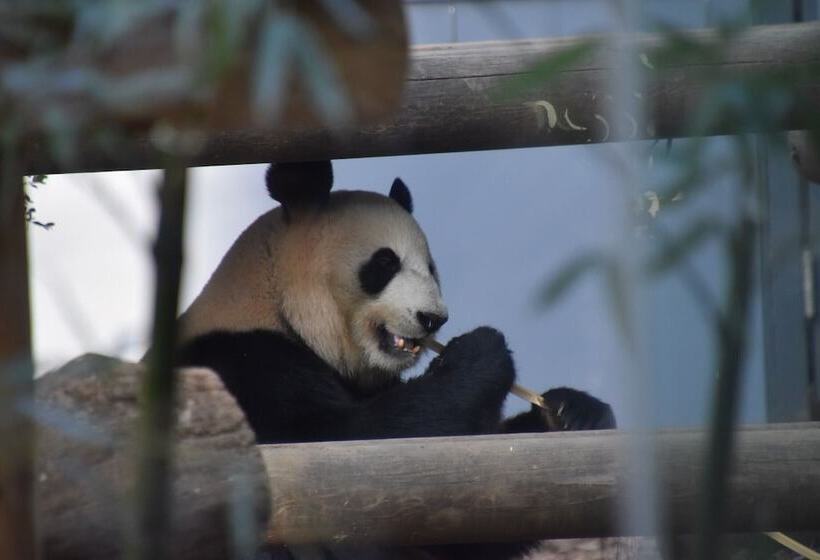 Fotos del hotel Dormy Inn Premium Tokyo Kodenmacho:  6