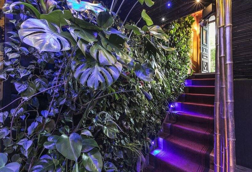 Fotos del hotel Mala Anglia Deluxe Rooms & Spa:  20