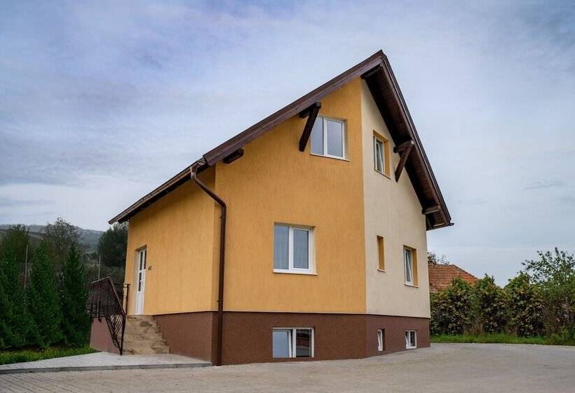 Fotos del hotel Pensiunea Zbor:  4