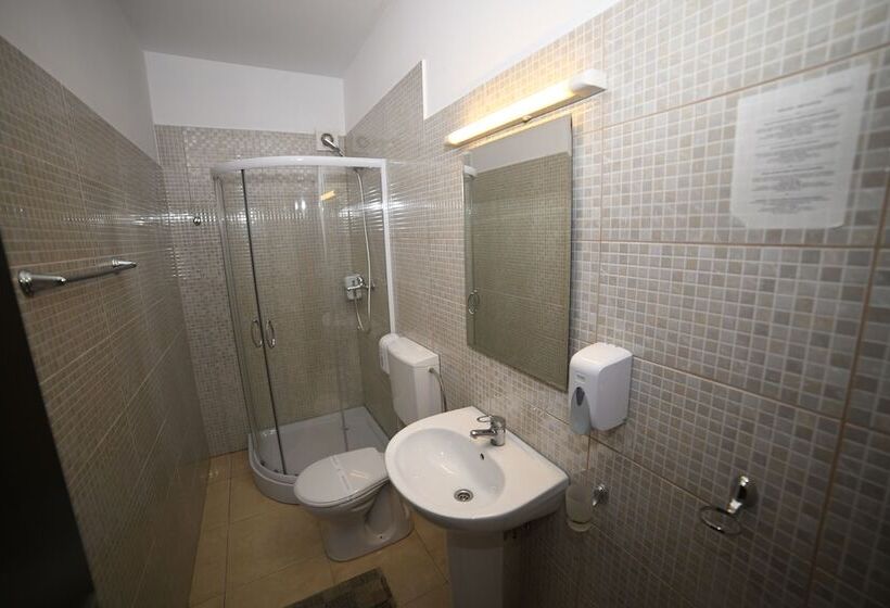 Fotos del hotel Pensiunea Zbor:  11