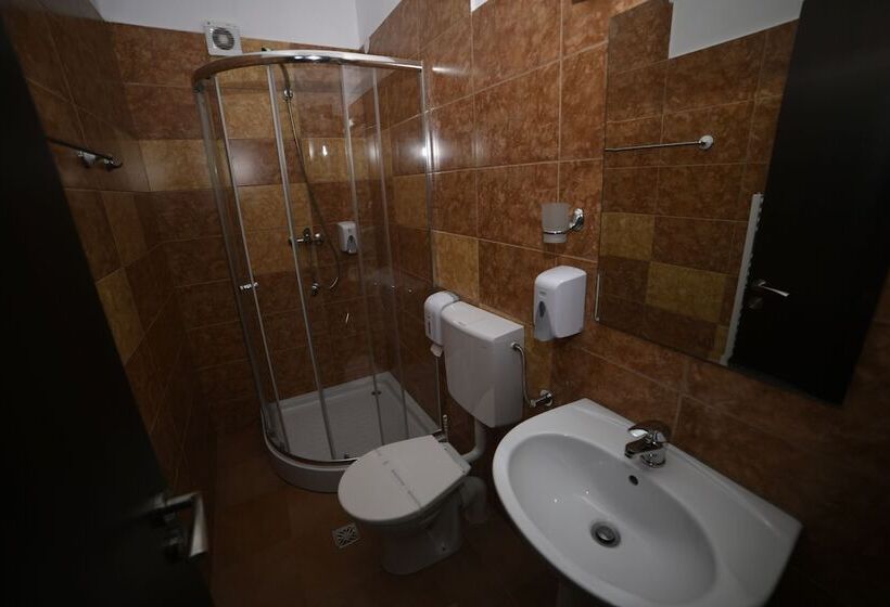 Fotos del hotel Pensiunea Zbor:  9