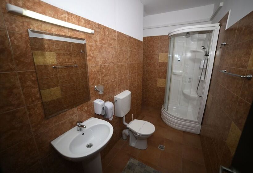 Fotos del hotel Pensiunea Zbor:  6