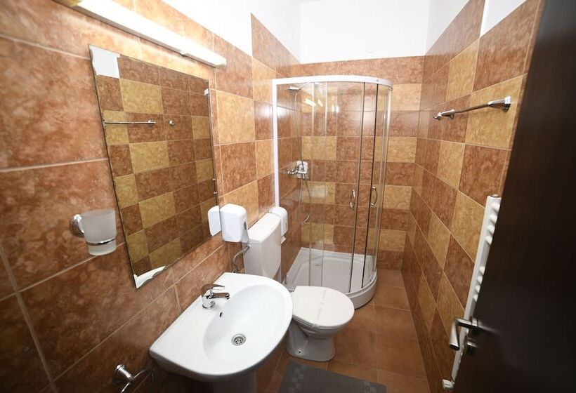 Fotos del hotel Pensiunea Zbor:  3