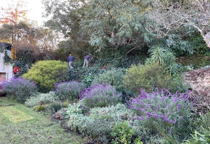 Fotos del hotel Sugarbird Manor:  9