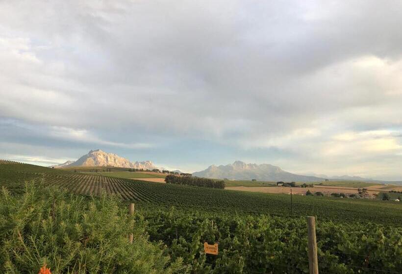 Fotos del hotel Sugarbird Manor:  10