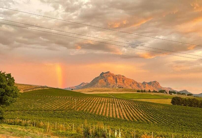 Fotos del hotel Sugarbird Manor:  14