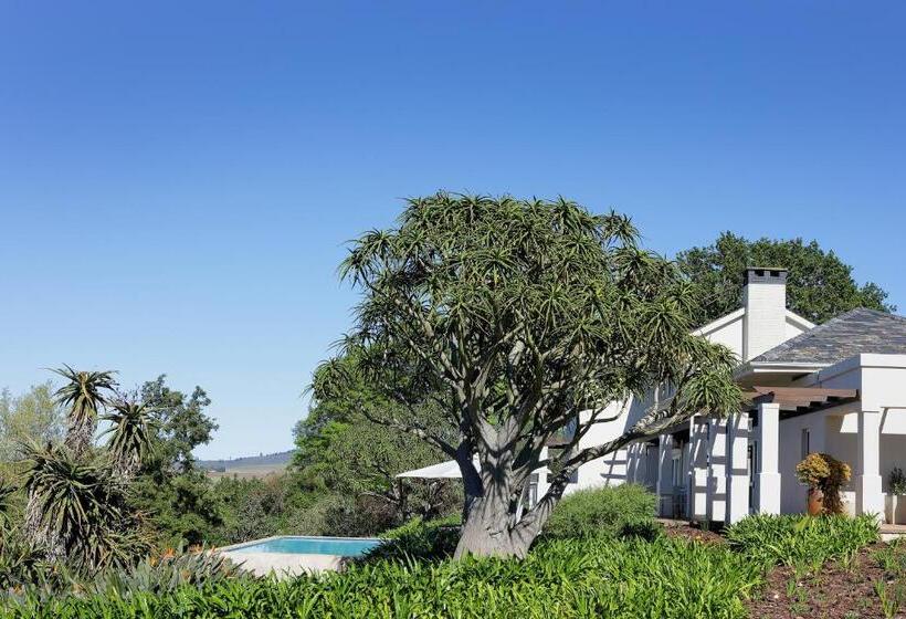 Fotos del hotel Sugarbird Manor:  20