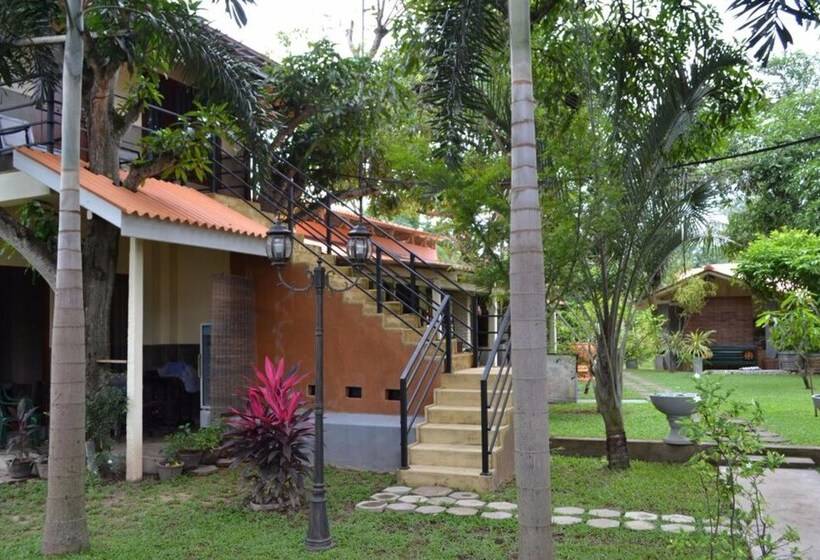 Fotos del hotel Morning Star Resorts:  15