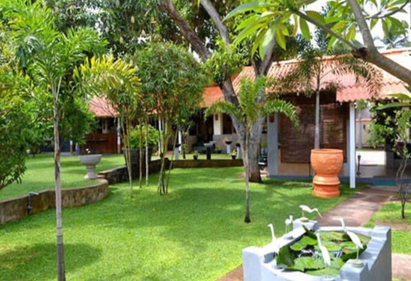 Fotos del hotel Morning Star Resorts:  4