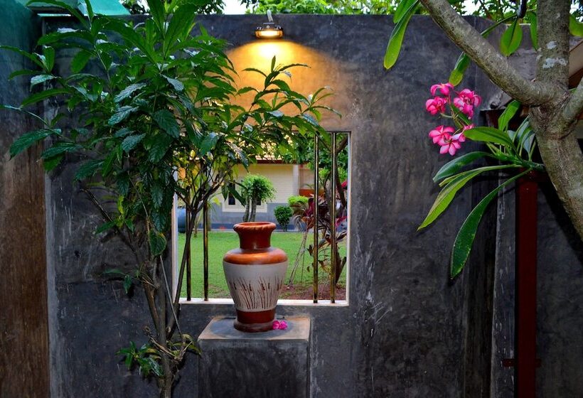 Fotos del hotel Morning Star Resorts:  9