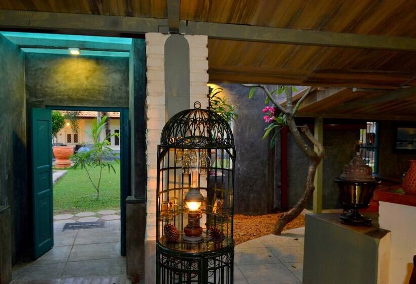 Fotos del hotel Morning Star Resorts:  5