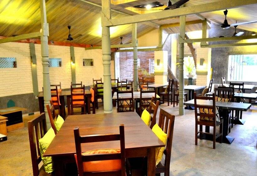 Fotos del hotel Morning Star Resorts:  3