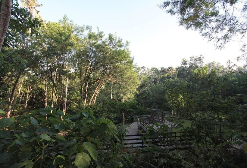 Fotos del hotel Ubud Wana Villa:  7