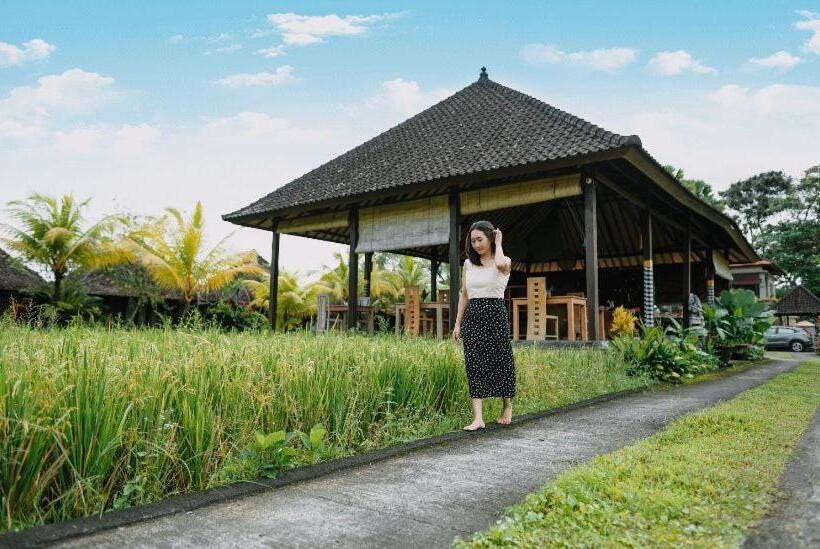 Fotos del hotel Santosha Villas & Spa:  21