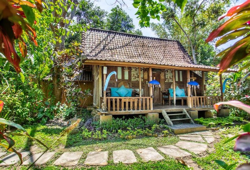 Fotos del hotel Swasti Eco Cottages:  3