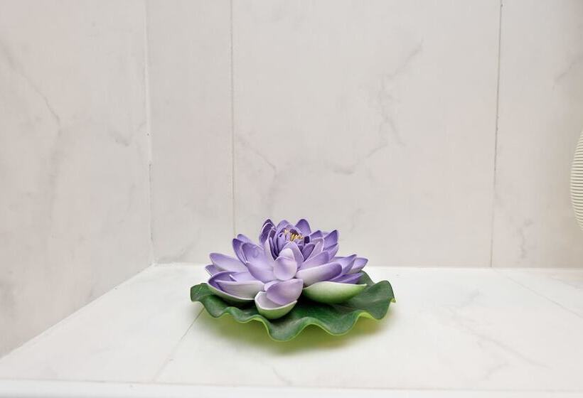 Fotos del hotel Zadar:  9