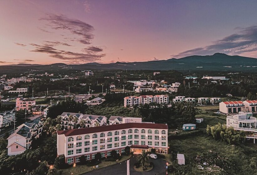 Fotos del hotel Aria  Jeju:  14