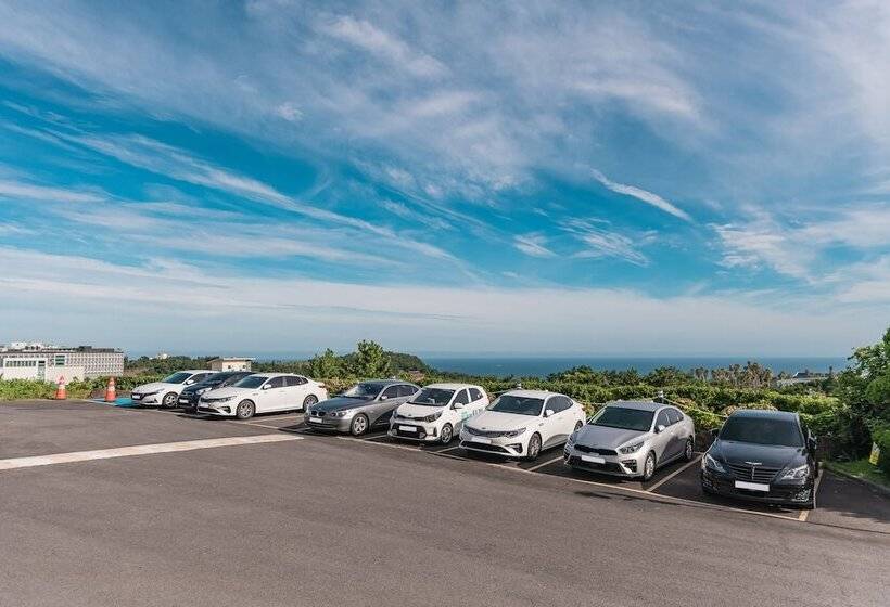 Fotos del hotel Aria  Jeju:  11