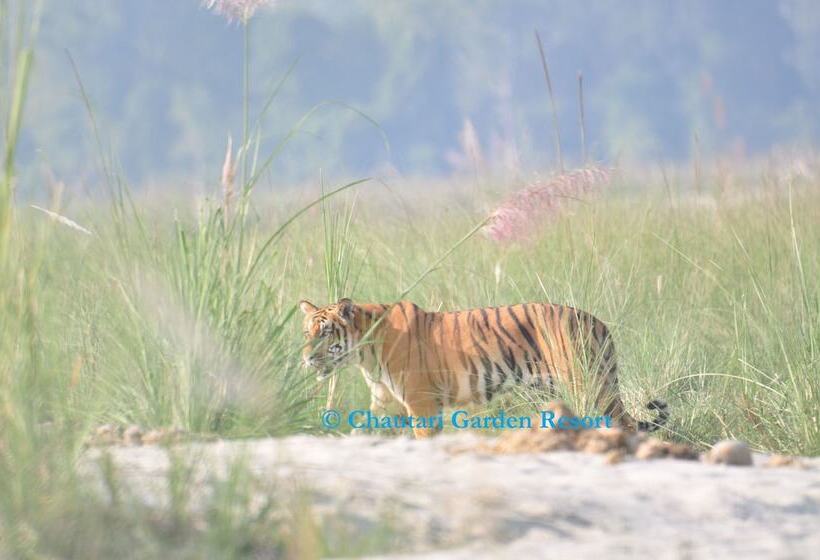 Fotos del hotel Chautari Garden Resort:  6