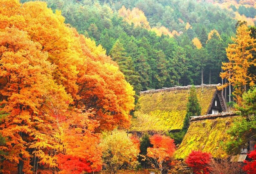 Fotos del hotel Hana:  16