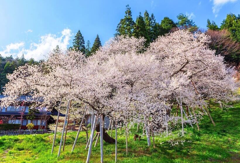 Fotos del hotel Hana:  14