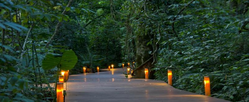 Fotos del hotel Tierra Guarani Lodge De Selva:  3