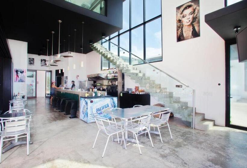 Fotos del hotel Vidasoul:  3