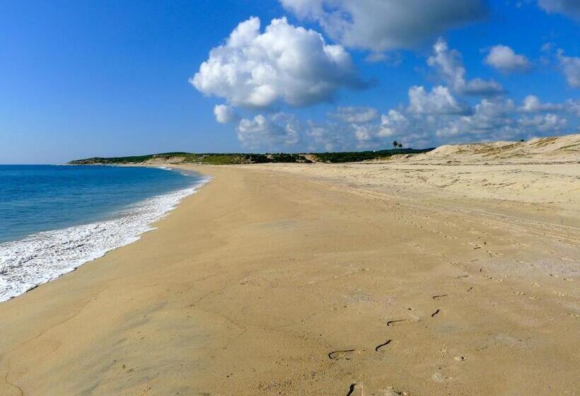 Fotos del hotel Vidasoul:  10